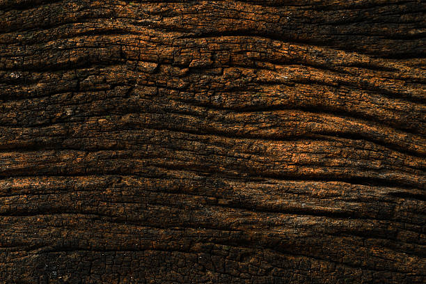 istock Old wood textured closeup background 588591426