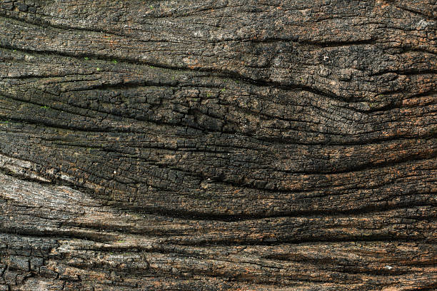 istock Old wood textured closeup vintage background 588591516