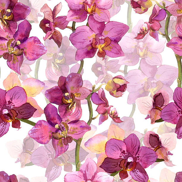 ilustraciones, imágenes clip art, dibujos animados e iconos de stock de plantilla floral sin costuras con flores de orquídeas de lirio - flower flourishes paint backgrounds