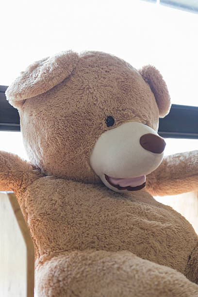 istock big bear doll toy beside window 588594068