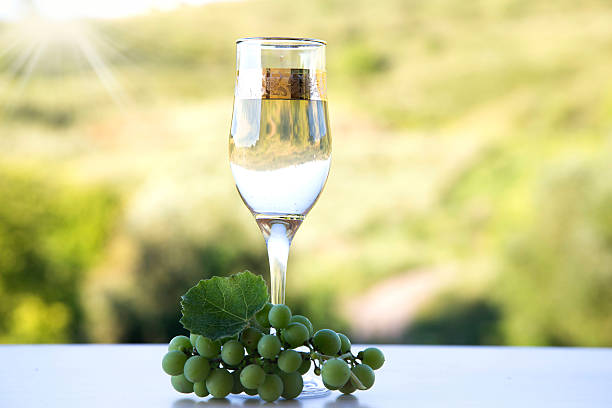 White grapes and one glass of white wine in the vineyard