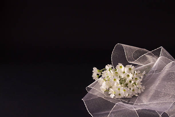 istock bunch of small white flowers with a veil 588596104