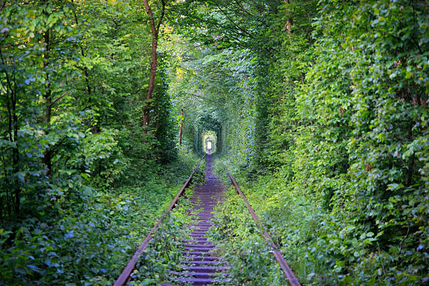 istock Tunnel of love. 588596442