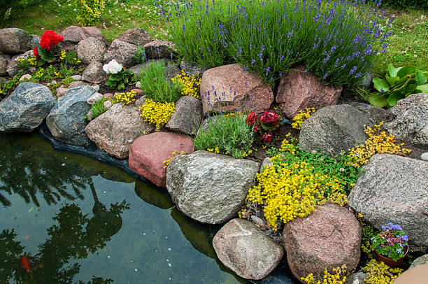 Garden Pond stock photo