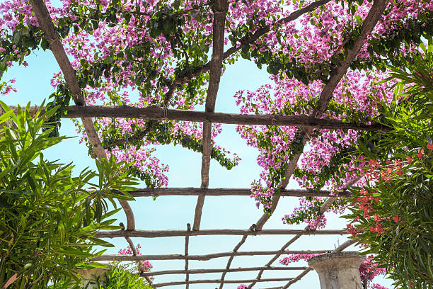 istock Pergola on the terrace. Mediterranean Sea. Italy. 588602450