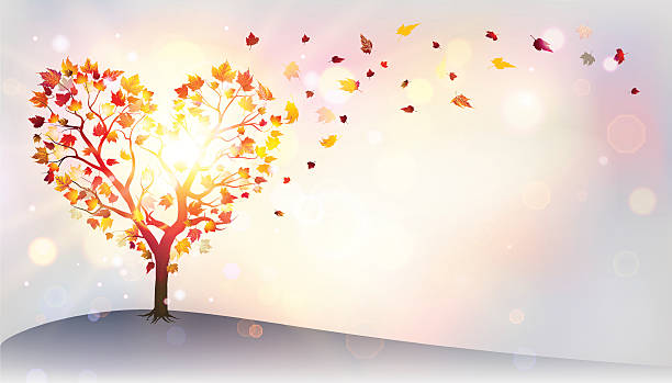 Fall Heart Tree Frame 47,300+ Fall Heart Stock Photos, Pictures & Royalty-Free Images - iStock