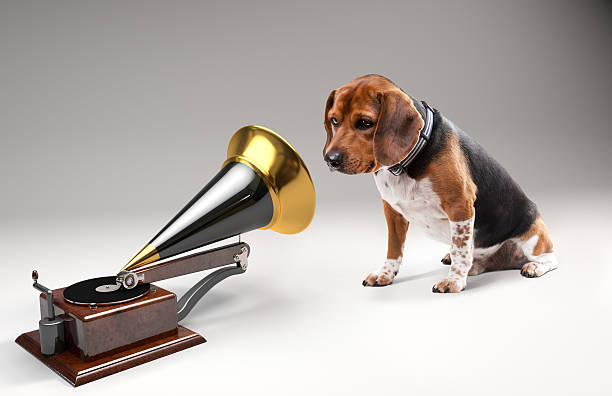 escuchar las canciones - gramófono fotografías e imágenes de stock