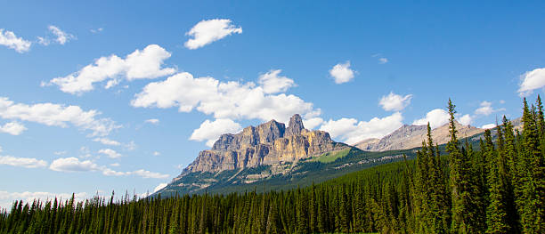 istock Panorama of a Mountain Over Trees 588606738
