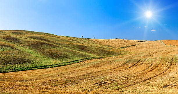 istock Field after harvest in Italy. 588611556
