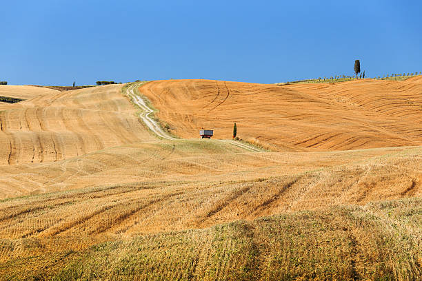 istock Field after harvest in Italy. 588611712
