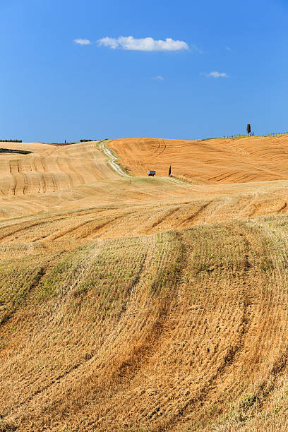 istock Field after harvest in Italy. 588611772