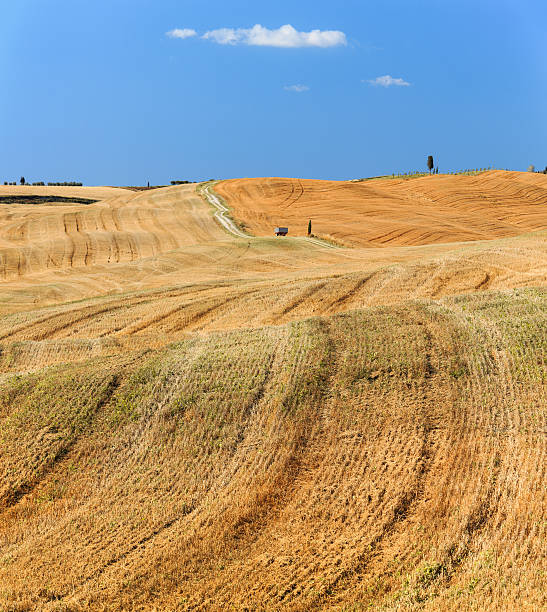 istock Field after harvest in Italy. 588611826