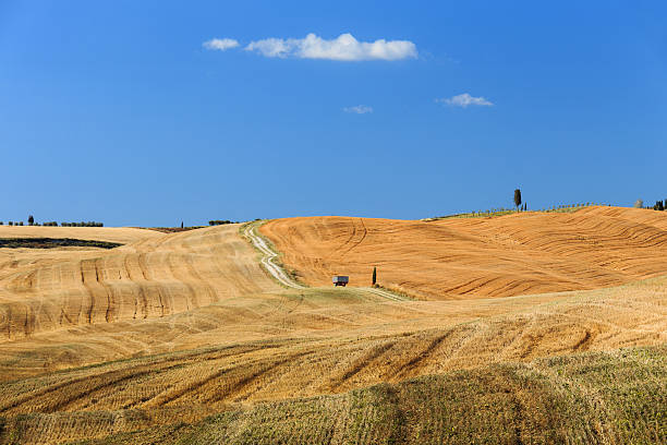 istock Field after harvest in Italy. 588611850
