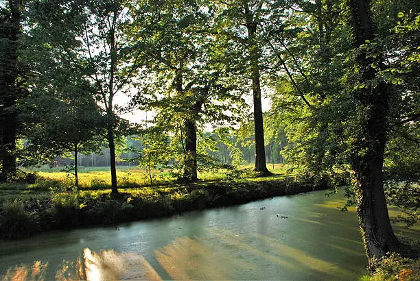 Beautiful view of river that turned green with surrounding trees and meadow with sun shining through at sunset