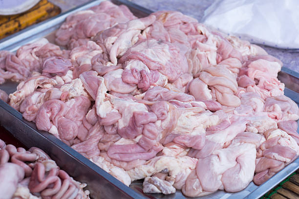 Raw Animal Pork Chitterlings Stock Photo - Download Image Now - Freshness,  Gourmet, Horizontal - iStock