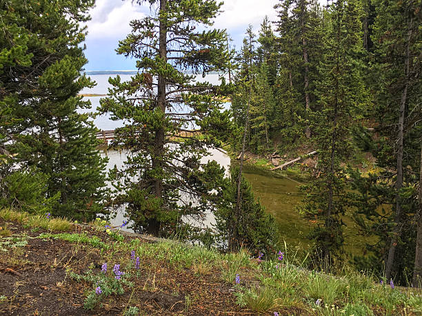 istock View of Yellowstone Lake 588613962