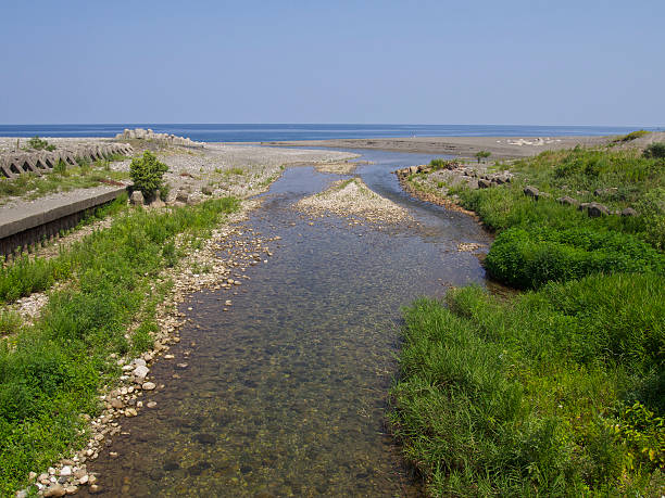 istock The estuary of the toumi river 588615108