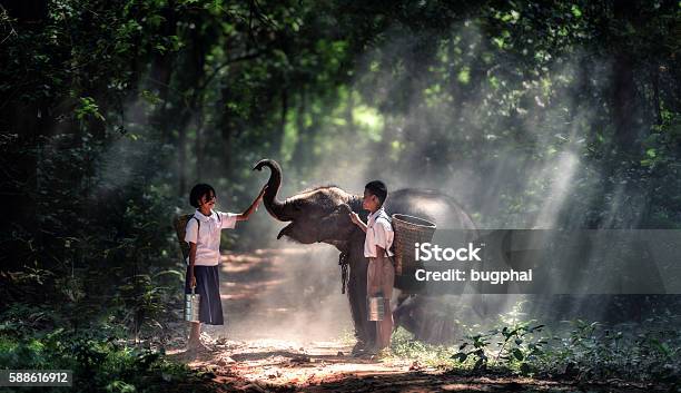 Student Kleine Asiatische Junge Und Mädchen Landschaft In Thailand Stockfoto und mehr Bilder von Thailand