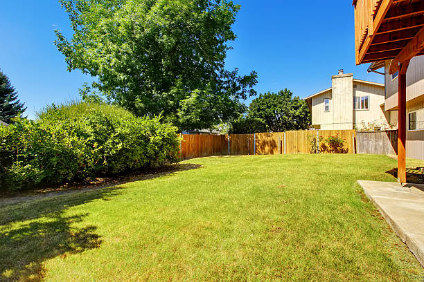istock Fenced backyard with green lawn and bushes. 588622292