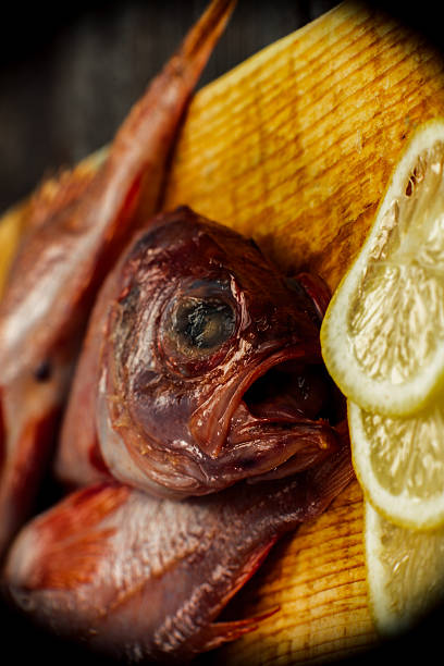Fish close up