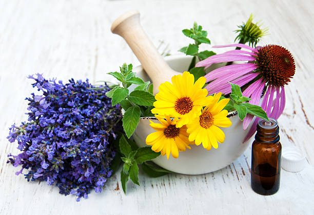 istock medical flowers in mortar 588625892