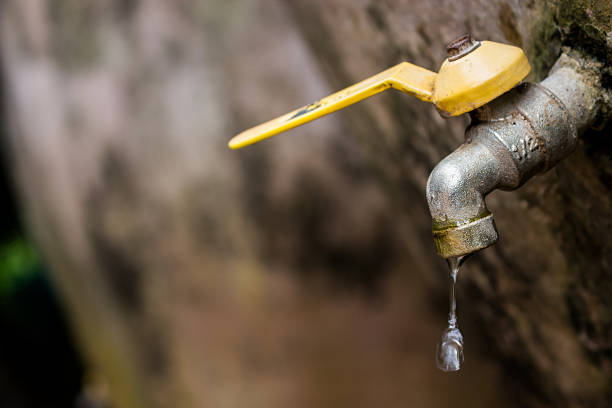istock Drop, To appreciate the value of water. 588957488
