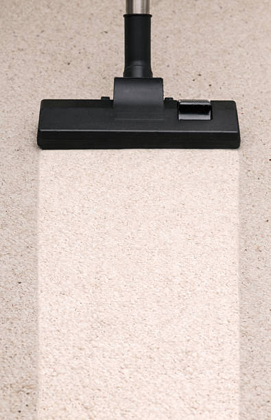 Vacuum cleaner sweeping dusty carpet