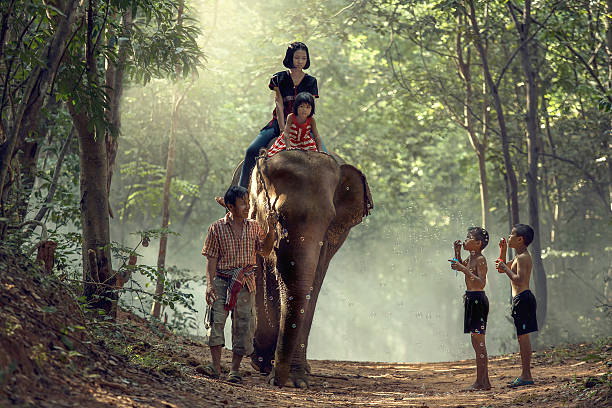 istock Young elephant with family mahout 588960270