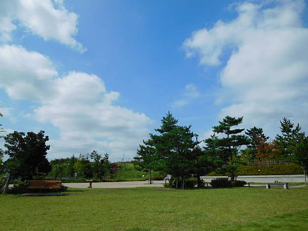 istock The vacant park under the blue sky 588962154
