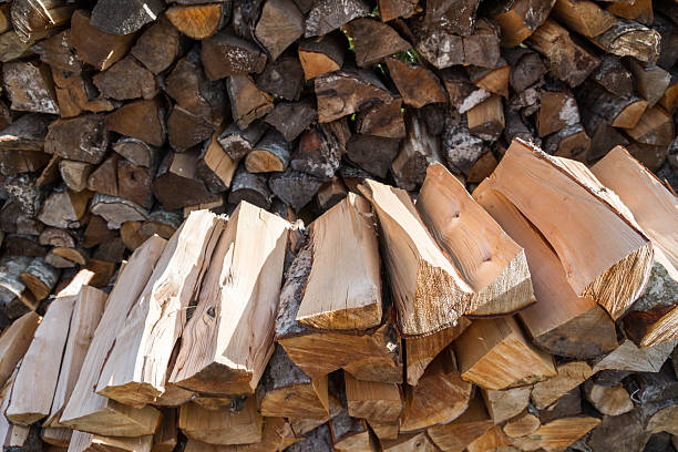 istock Dry logs stacked in a pile in the garden 588964384