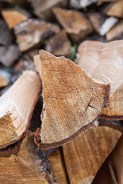 istock Dry logs stacked in a pile in the garden 588964436