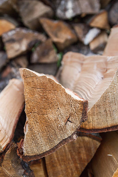 istock Dry logs stacked in a pile in the garden 588964456