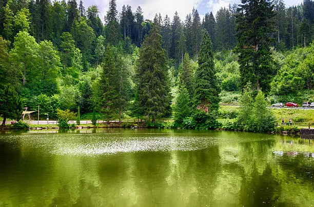 Many shades of green in lake Bergsee and Black forest in Triberg, Baden land, Germany