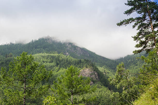 istock Clouds in the mountains covered with the green wood. 588965102