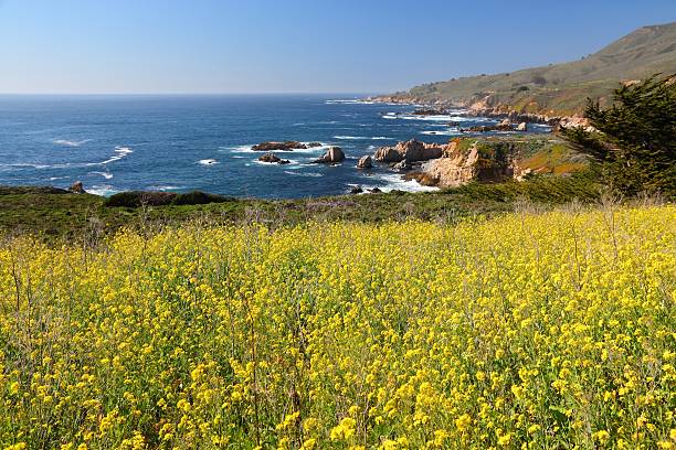 istock California landscape 588965296