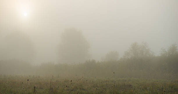 istock sunrise and rural landscape 588965332