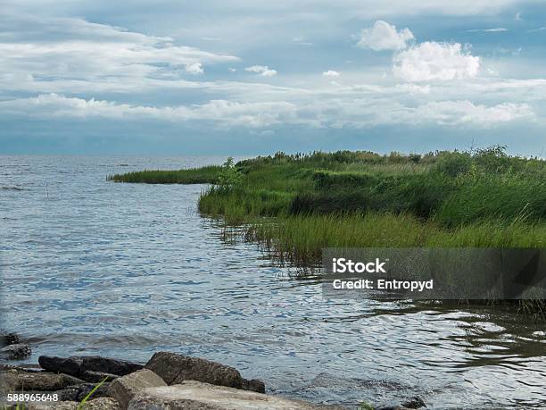 Louisiana Shoreline Stock Photo - Download Image Now - Lake Pontchartrain, Coastline, Louisiana
