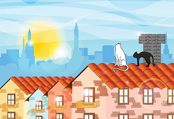 illustrazioni stock, clip art, cartoni animati e icone di tendenza di città soleggiata - domestic cat undomesticated cat window house