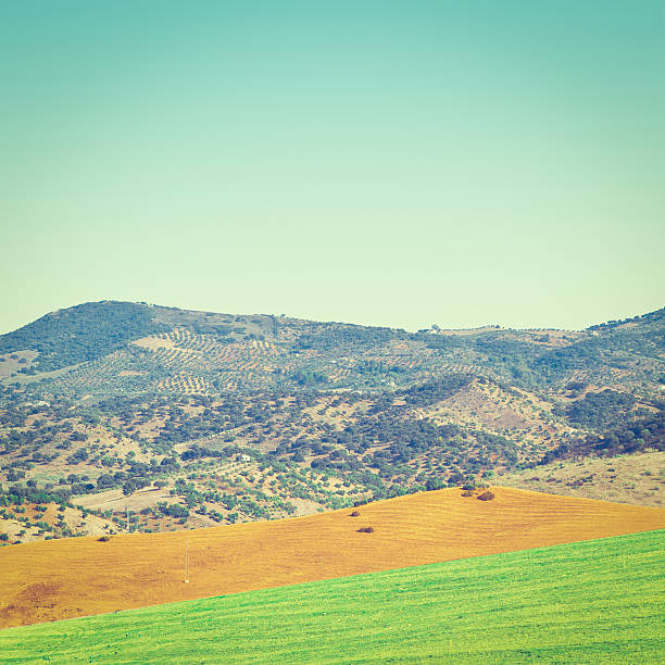 istock Hills of Spain 588966758