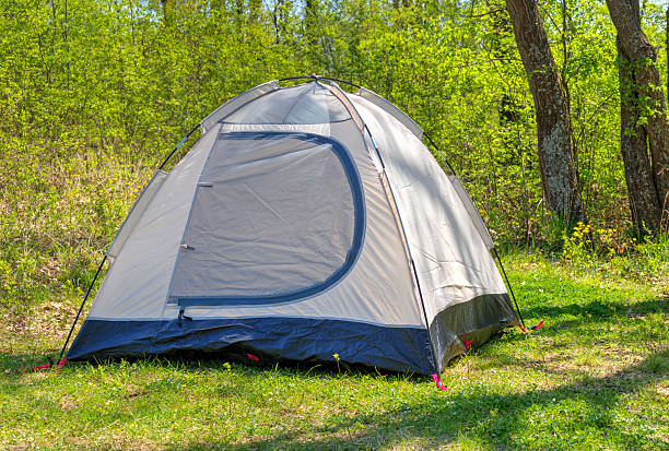 istock Camping tent in sunny forest 588967336