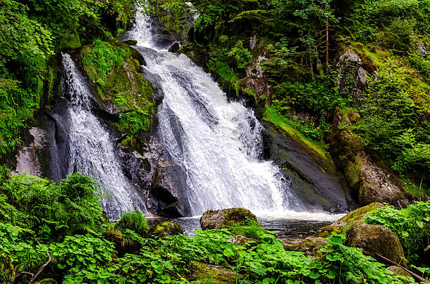 vue latérale sur une forte chute d’eau à triberg, en allemagne - triberg photos et images de collection