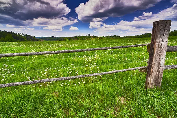 View of spring landscape with a meadow behind a fence with sky background