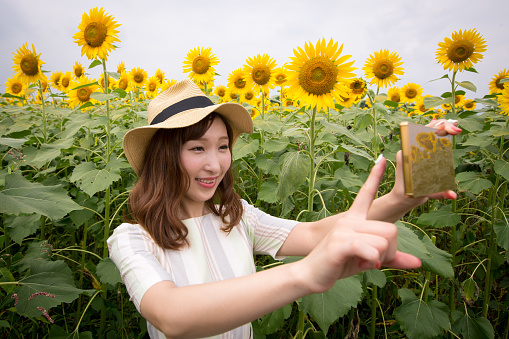 Young woman taking selfie picture in sunflower field