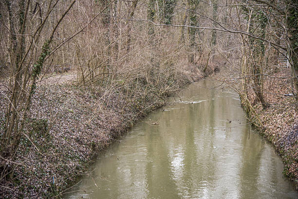 istock Tributary of Mura 588972042