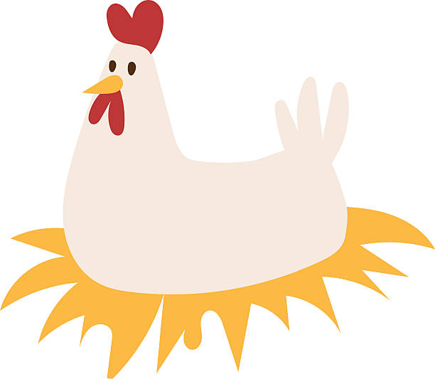 ilustraciones, imágenes clip art, dibujos animados e iconos de stock de lindo pájaro de dibujos animados de pollo - chicken young bird animal egg baby chicken