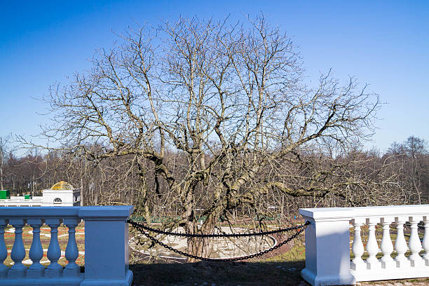 istock Decorative fence hanging chain obstruction 588974956