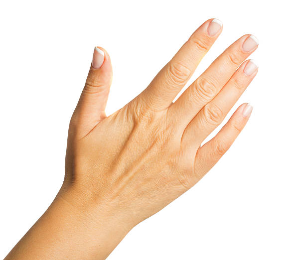 istock Female woman hand 588975396