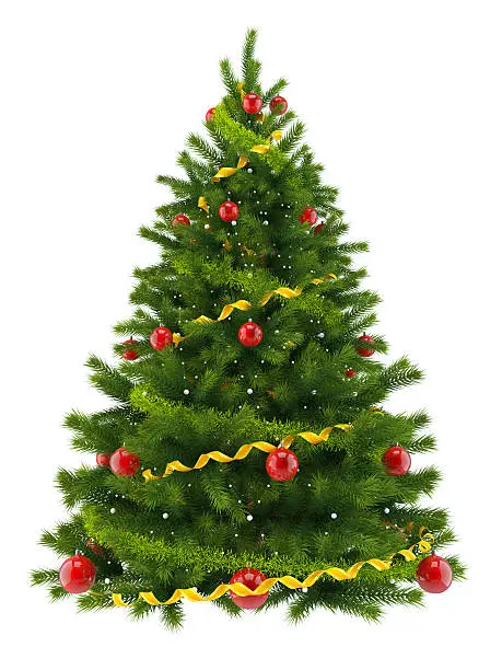 Photo of Christmas tree, isolated on white background