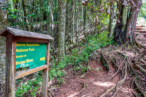 istock Morne Seychellois National Park - Mahe - Seychelles 588977178