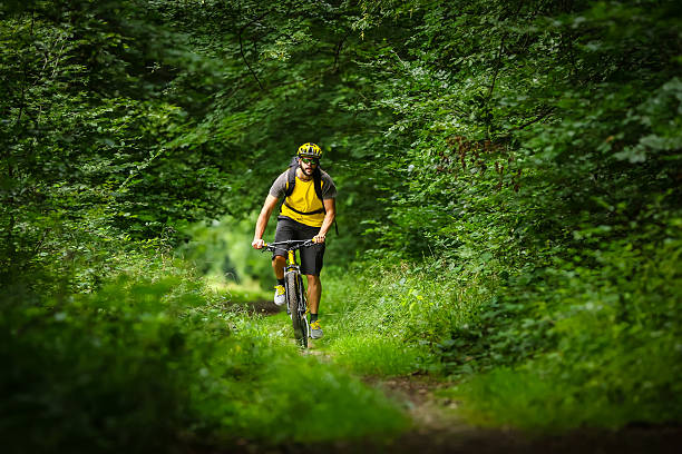 mountain biker in the woods mountain biker on yellow bike in the woods mountain biking stock pictures, royalty-free photos & images